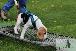 Welpen  06.09.2025 40